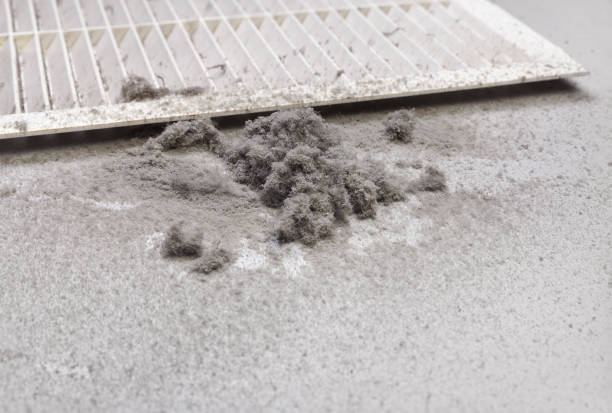 Best Air Duct Inspection  in Torrington, WY
