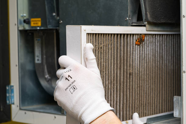 Best Best Air Duct Cleaning Company  in Torrington, WY