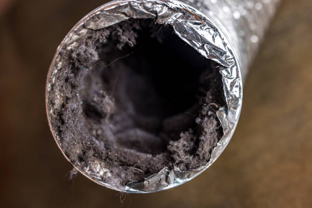 Best Home Air Vent Cleaning  in Torrington, WY